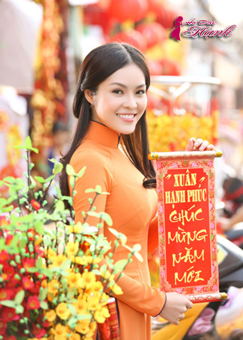 Áo dài chụp hình Tết 2