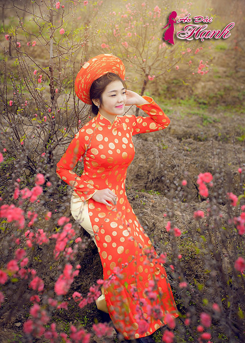 Áo dài chụp hình Tết 5