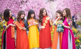 Áo dài chụp hình Tết